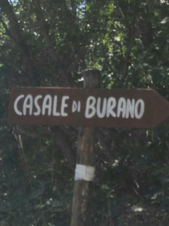 Casale Di Burano Lägenhet Onano Exteriör bild